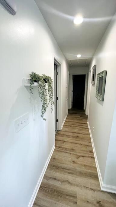 Modern Home Near Uptown Clt, Airport And More 샬럿 외부 사진